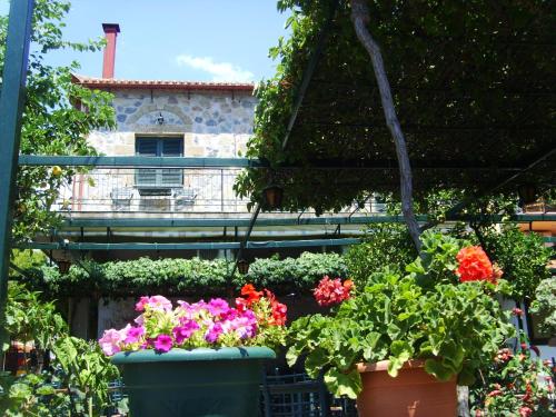 a group of flowers in pots in front of a building at O Kipos tis Skardamoulas in Kardamyli