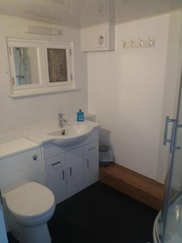 a white bathroom with a toilet and a sink at The Maidens Chambers in Canterbury