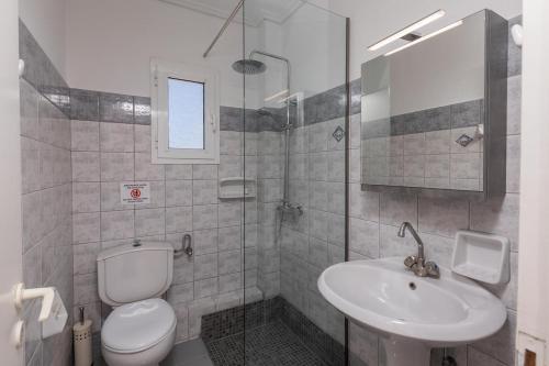 a bathroom with a toilet and a sink at eleni studios in Vlachata