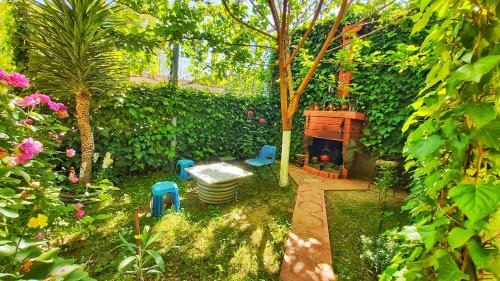un jardín con mesa, sillas y plantas en Guest House Pogradeci en Pogradec
