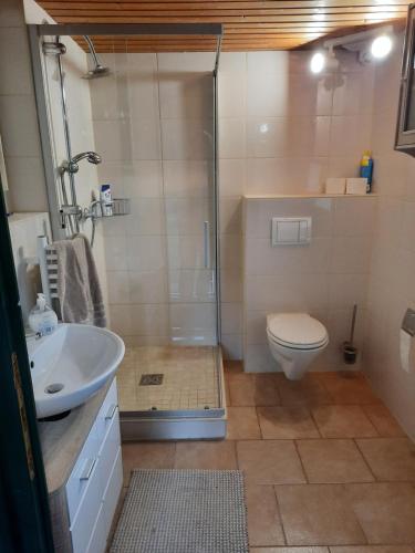 a bathroom with a shower and a toilet and a sink at Ferienhaus Eichenblatt in Werder