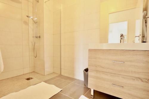 une salle de bain avec douche et lavabo dans l'établissement Appartement des Arts, à Deauville