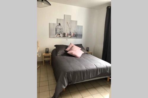 a bedroom with a bed with a pink pillow at Gites des Lavandières in Cour-Cheverny