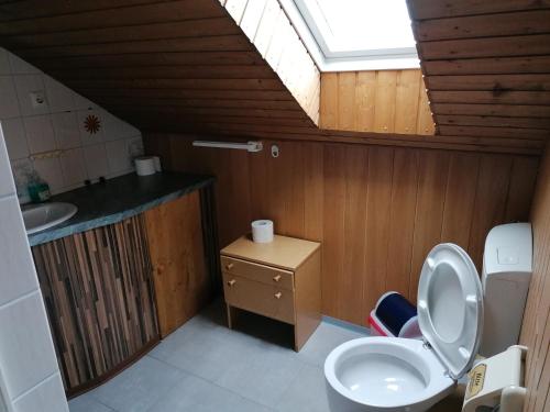a bathroom with a toilet and a sink with a skylight at Ferienwohnung Felsblick in Mittelndorf