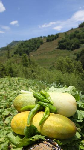 a pile of vegetables sitting on top of a field at Chapa Farmstay - Mountain Retreat in Sa Pa