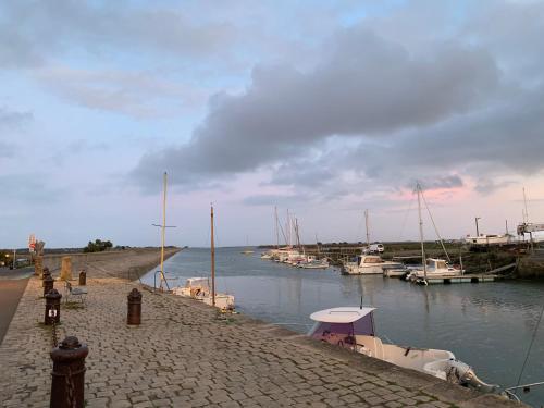 un groupe de bateaux est amarré dans un port dans l'établissement Appartements Les Homards du Fier #3, à La Guérinière