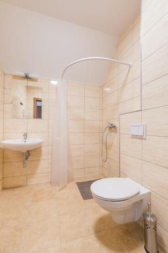 a bathroom with a toilet and a sink at Willa Domiwera in Polańczyk