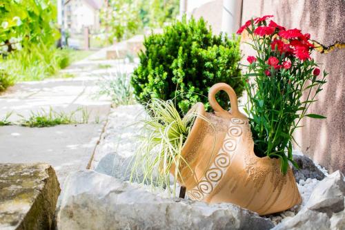 Afbeelding uit fotogalerij van pensiunea vanesa in Baile Felix