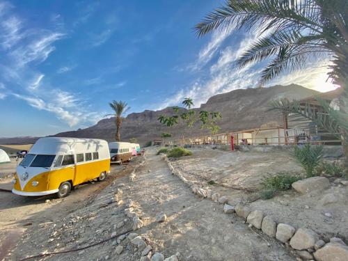 a group of camels parked in a parking lot at Ein Gedi Camp Lodge in Ein Gedi