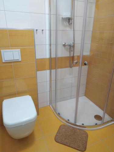 Ein Badezimmer in der Unterkunft Apartmány v Pošumaví