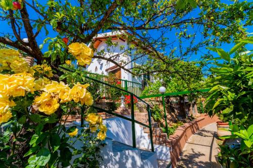 Κήπος έξω από το Cubo's Casa El Pantanillo