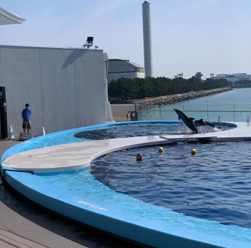 einen Pool mit Delfin im Wasser in der Unterkunft Sakaide Grand Hotel in Sakaide
