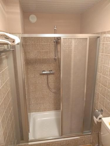 a bathroom with a shower with a glass door at Schanzenblick in Winterberg