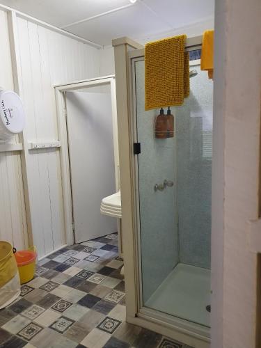 a shower with a glass door in a bathroom at Meyenburg Unit 1 in Mount Morgan