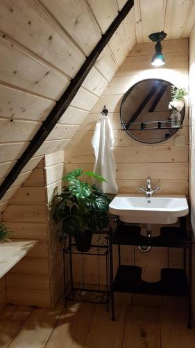 a bathroom with a sink and a mirror at Pet friendly cabin with amazing view in Petrinja