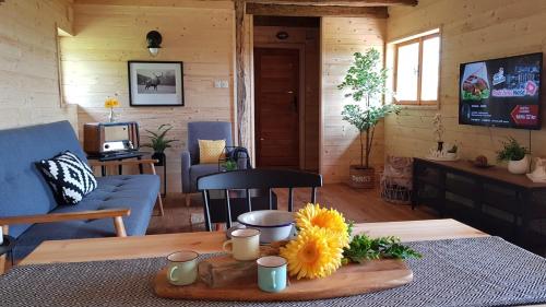 Nature house with amazing view في Petrinja: غرفة معيشة مع أريكة زرقاء وطاولة