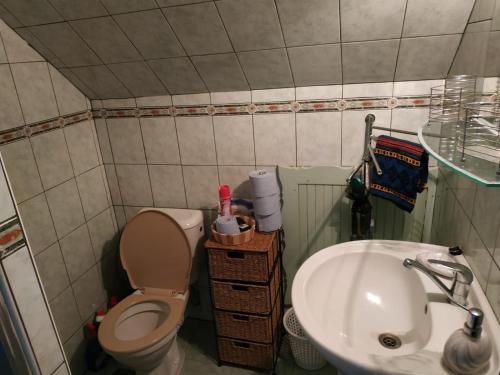 Kamar mandi di Ubytování na Šumavě