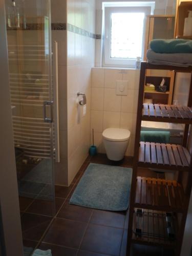 baño con ducha y aseo y ventana en Bed & Breakfast Engen en Engen