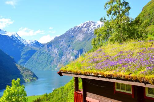 a house with a grass roof with flowers on it at Hole Hytter in Geiranger