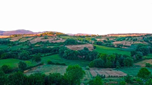 an aerial view of a green hillside with trees at Casale san Pietro in Otricoli