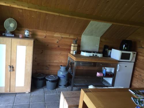 a small kitchen with a stove and a microwave at Iloons yurt in Hollandscheveld