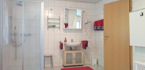 W łazience znajduje się umywalka i prysznic. w obiekcie Haus Gräben w mieście Medebach