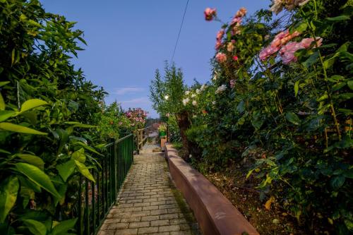 Κήπος έξω από το Cubo's Casa El Pantanillo