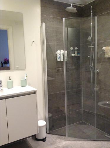 une salle de bain avec une douche en verre avec un lavabo dans l'établissement Ana's Bed & Kitchen, à Copenhague