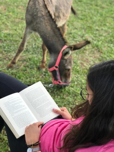 a woman reading a book in front of a goat at La Locanda Paradiso in SantʼEgidio