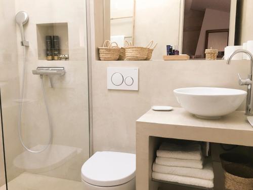 une salle de bain avec toilettes, lavabo et douche dans l'établissement Arles sous les toits - Terrasse proche des arènes, à Arles