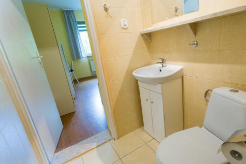 a bathroom with a toilet and a sink and a shower at Pod Lipami in Puck