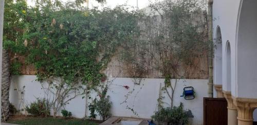 Κήπος έξω από το Villa avec piscine