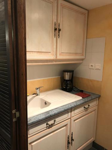 - un comptoir de cuisine avec évier et cafetière dans l'établissement Studio Au Clos Saint Georges , piscine et Spa, à Saint-Jory