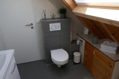 a small bathroom with a toilet and a sink at Ferienwohnung Weinbergliebe am Tuniberg zwischen Freiburg und Frankreich in Merdingen