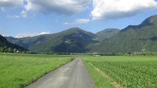 a dirt road in a field with mountains in the background at Ferienwohnungen Rosi in Kleblach