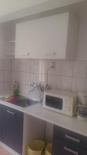 a kitchen with a sink and a microwave on a counter at Natur-Freude1-16 in Rhinsmühlen