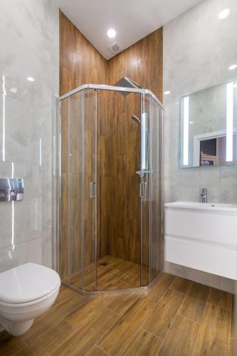 a bathroom with a shower and a toilet and a sink at Apartments on Kulisha str in Lviv