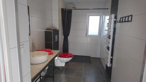 a small bathroom with a toilet and a sink at Entre Histoire et Terroir - 2 Gîtes de Charme in Kintzheim