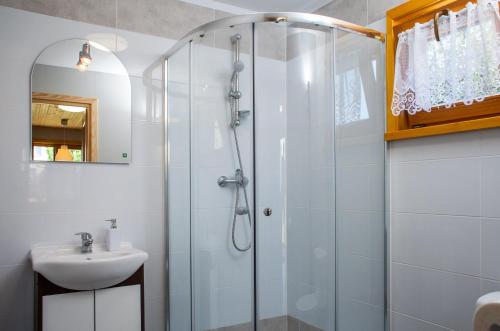 een badkamer met een douche en een wastafel bij Domek AMPERO in Władysławowo