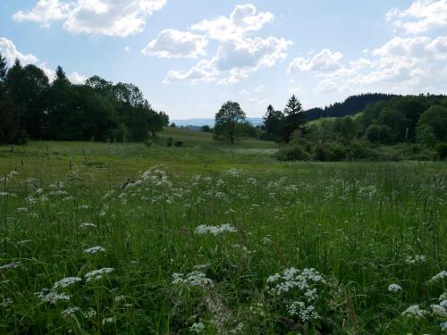 Naturlandschaft in der Nähe des Ferienhauses