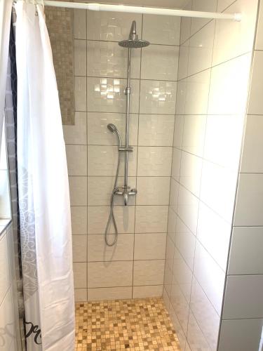 une salle de bain avec une douche avec un rideau de douche dans l'établissement Gite du Grillen Colmar, à Colmar