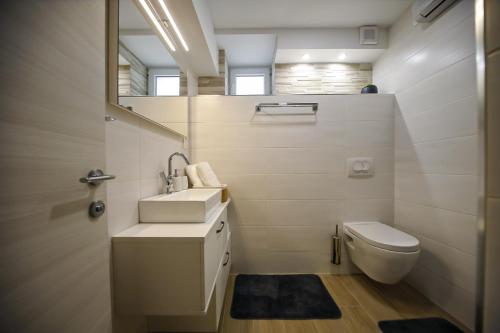 Šapjane的住宿－Casa Tilia，一间带水槽和卫生间的浴室