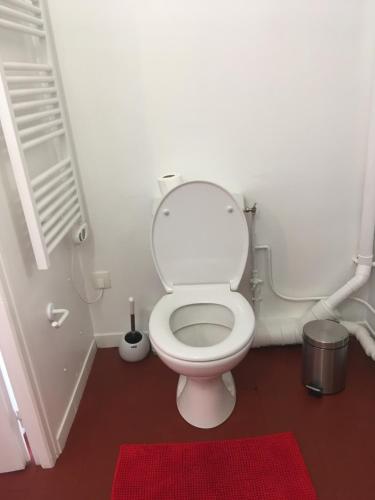 La salle de bains est pourvue de toilettes blanches et d'un tapis rouge. dans l'établissement La Bernache, à Saint-Satur