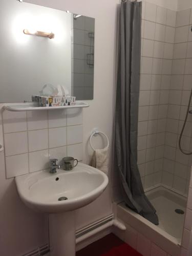une salle de bain avec un lavabo et une douche dans l'établissement La Bernache, à Saint-Satur