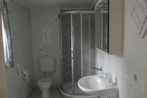 uma casa de banho com um chuveiro, um lavatório e um WC. em Ferienwohnung Wiesenblick em Burg