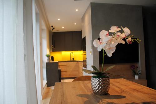 Aleksandra 3 - Yellow