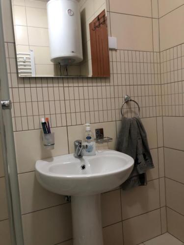 uma casa de banho com um lavatório branco e um espelho. em Studio Apartman NENA em Vrnjačka Banja