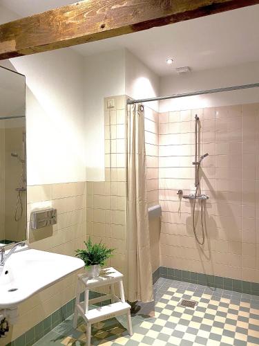 a bathroom with a shower and a sink and a tub at B&B De Lage Zwaluw in Lage Zwaluwe