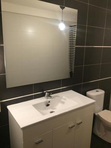 uma casa de banho com um lavatório, um espelho e um WC. em Apartamento Casa Latre em Barbastro
