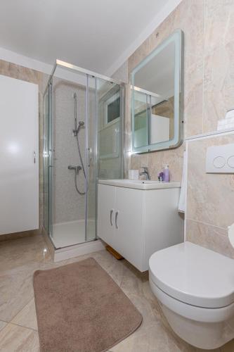 a bathroom with a shower and a toilet and a sink at Apartment Vivien in Crikvenica